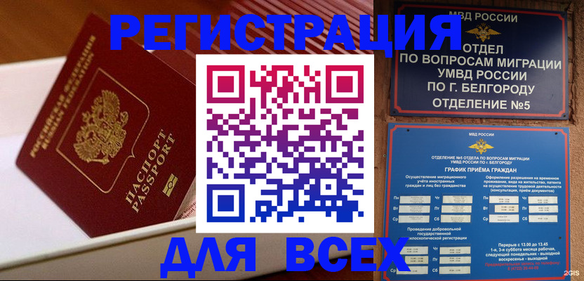 временная регистрация в Лыткарино