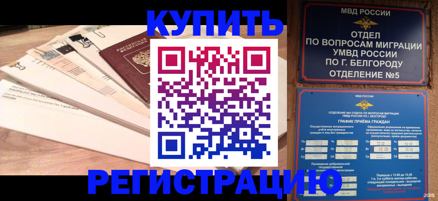 временная регистрация в Лыткарино